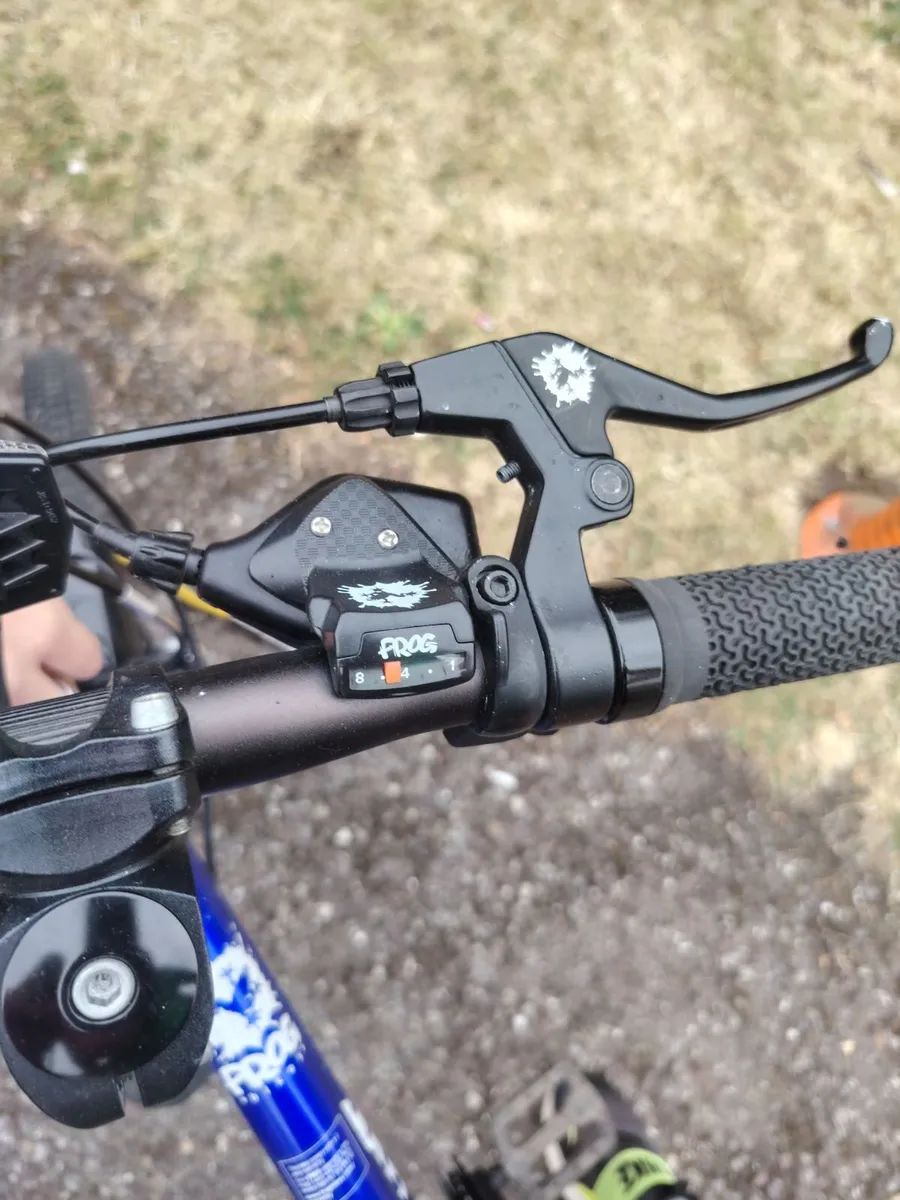 Frog bike - Image 3