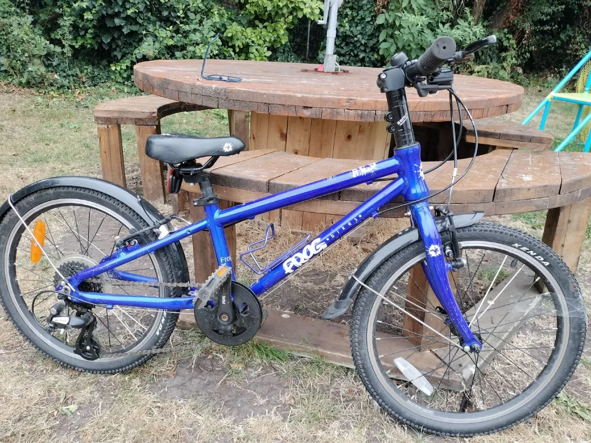 Frog bike - Image 1