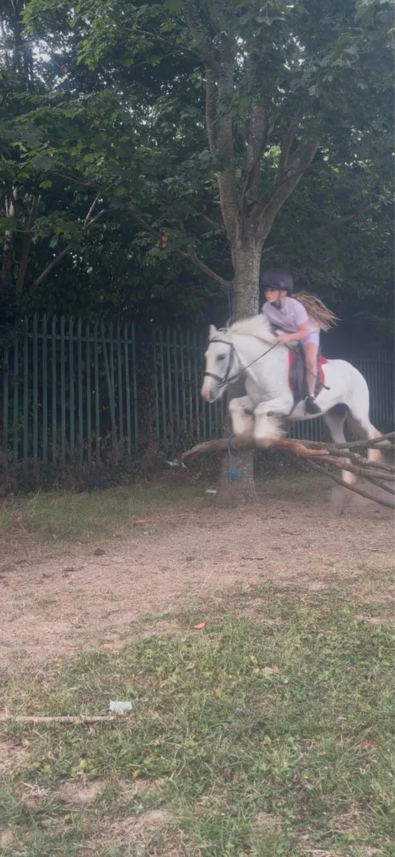 Pony - Image 2