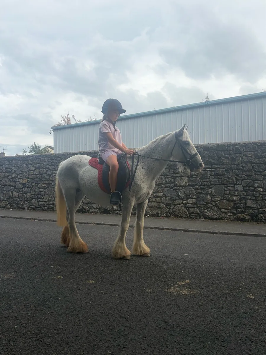 Pony - Image 3