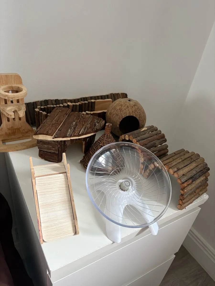 Hamster Enclosure - Image 3