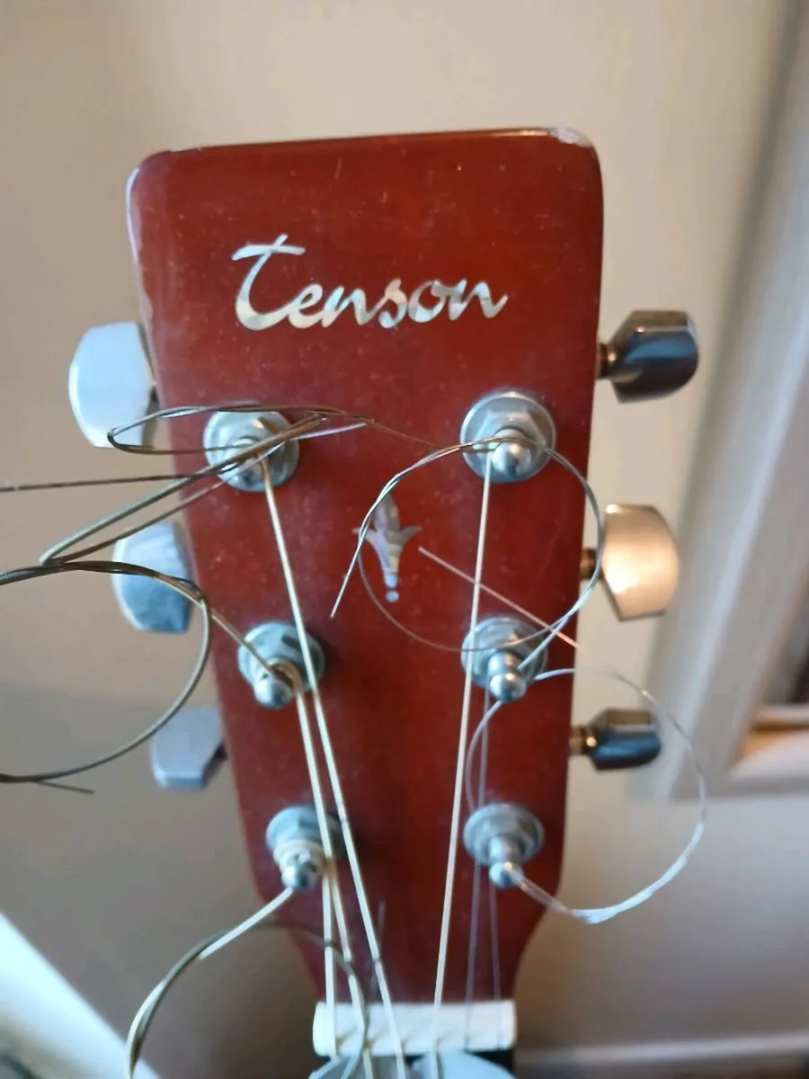"TENSON ACCOUSTIC GUITAR" - Image 1