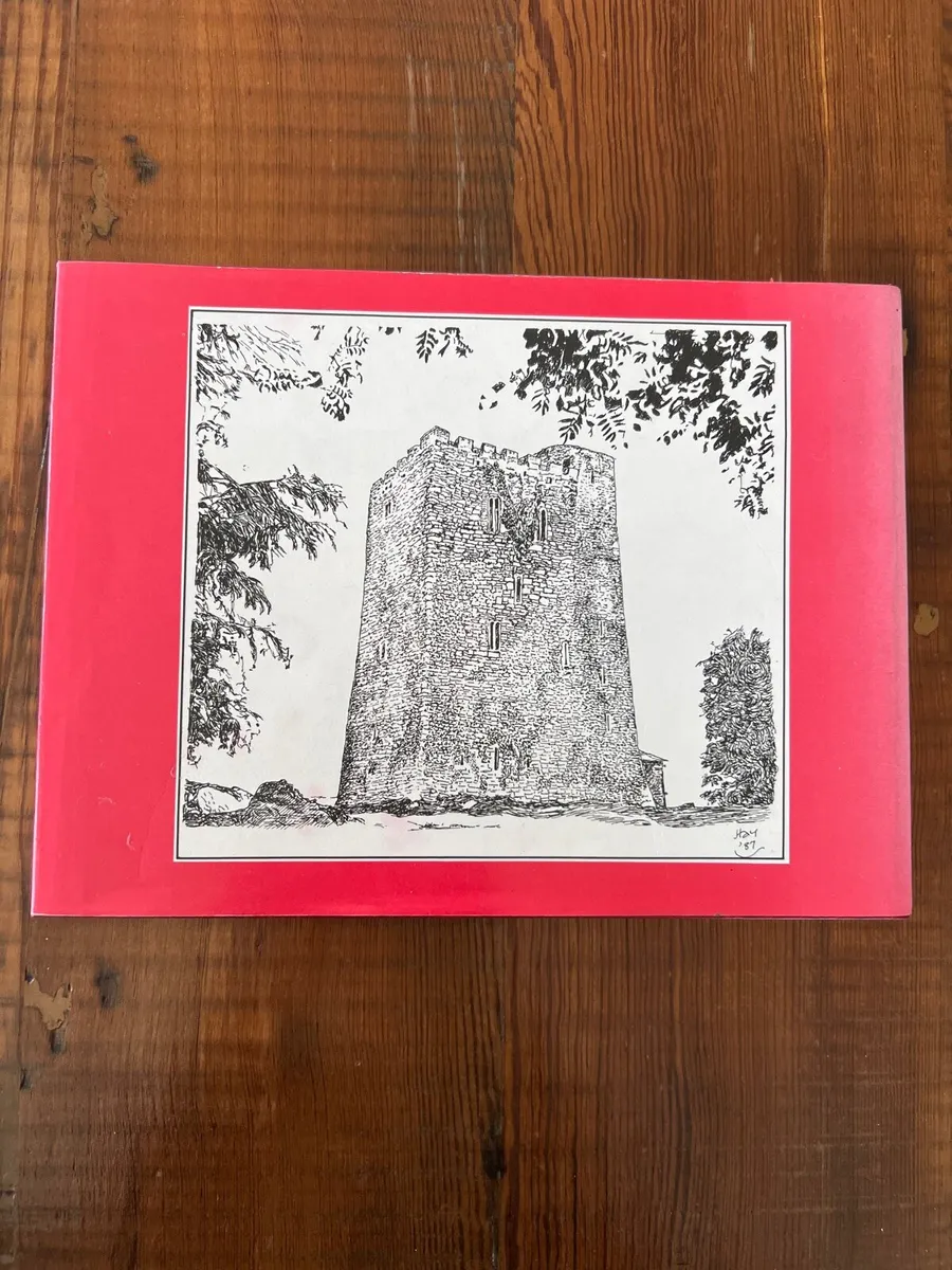 The Castles of County Cork by James N. Healy - Image 2