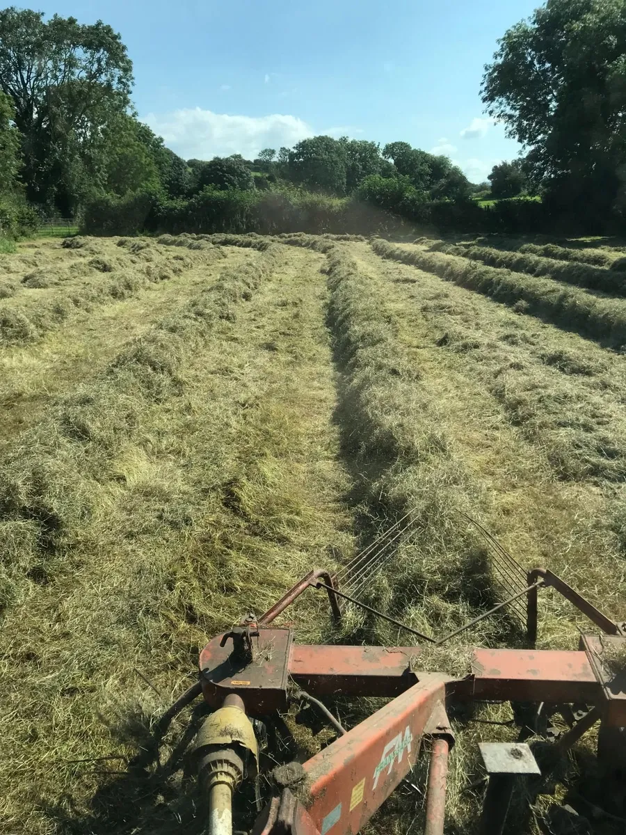 Fransgard RV 300 haybob - Image 2