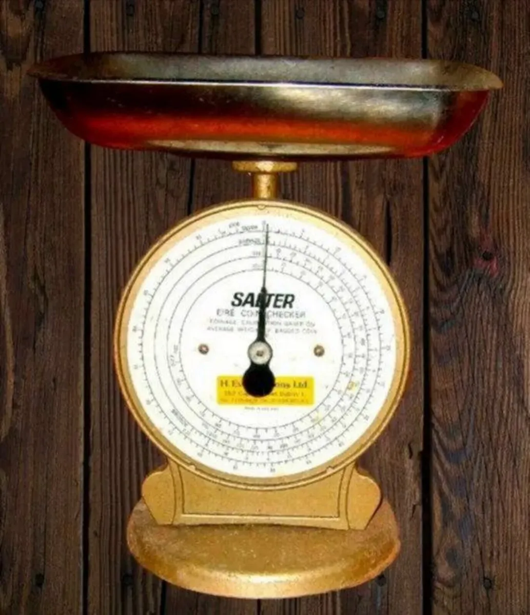 Vintage Salter Eire Coin Checker Scale – Rare - Image 3