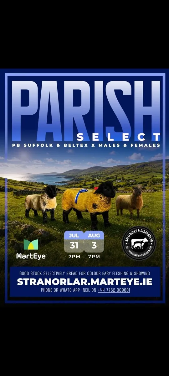Parish select  timed  sale now live  on marteye - Image 1
