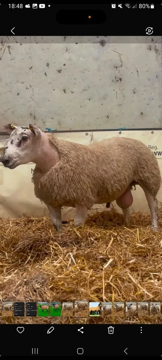 Parish select  timed  sale now live  on marteye - Image 3