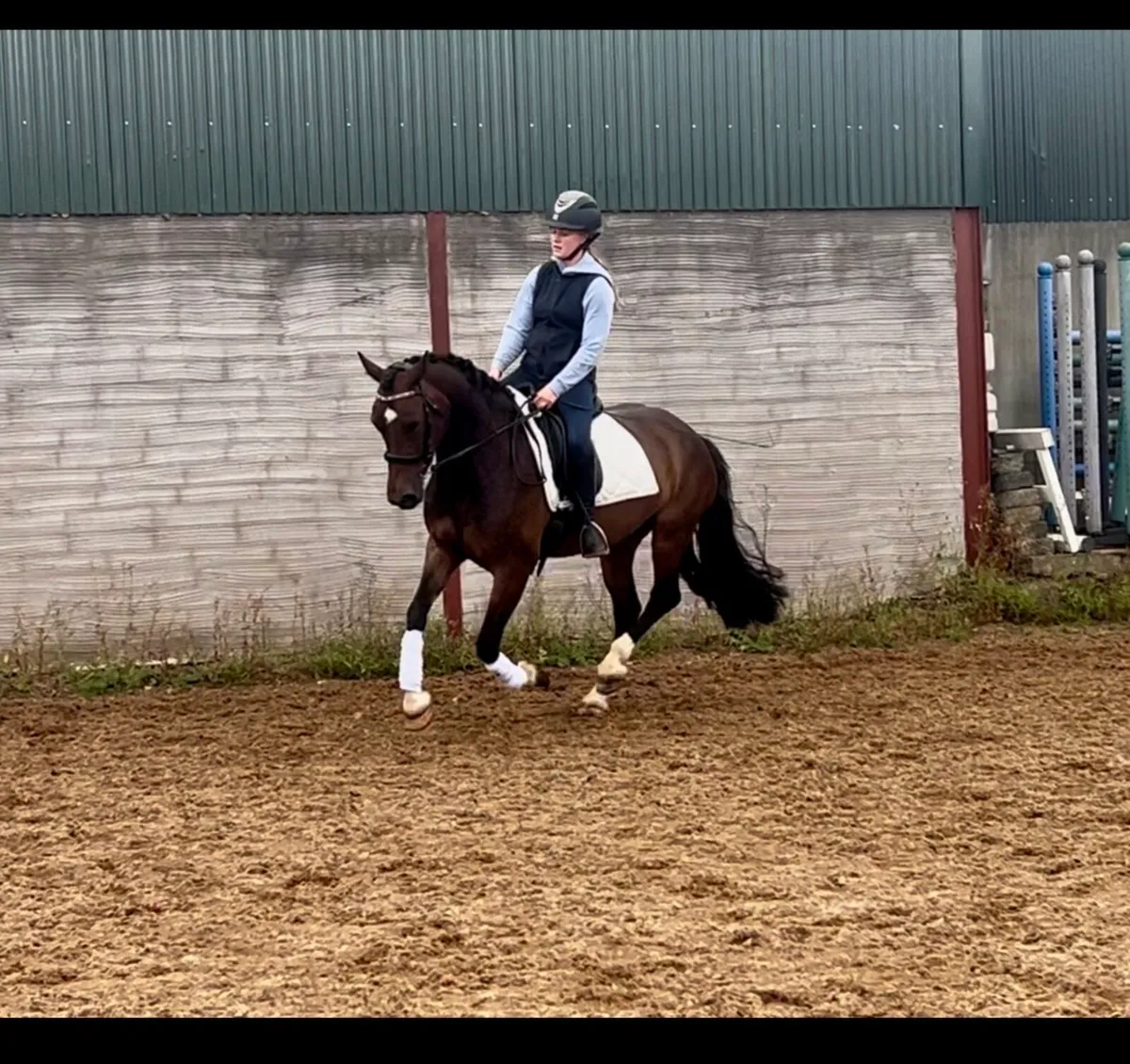 Talented pony - Image 3