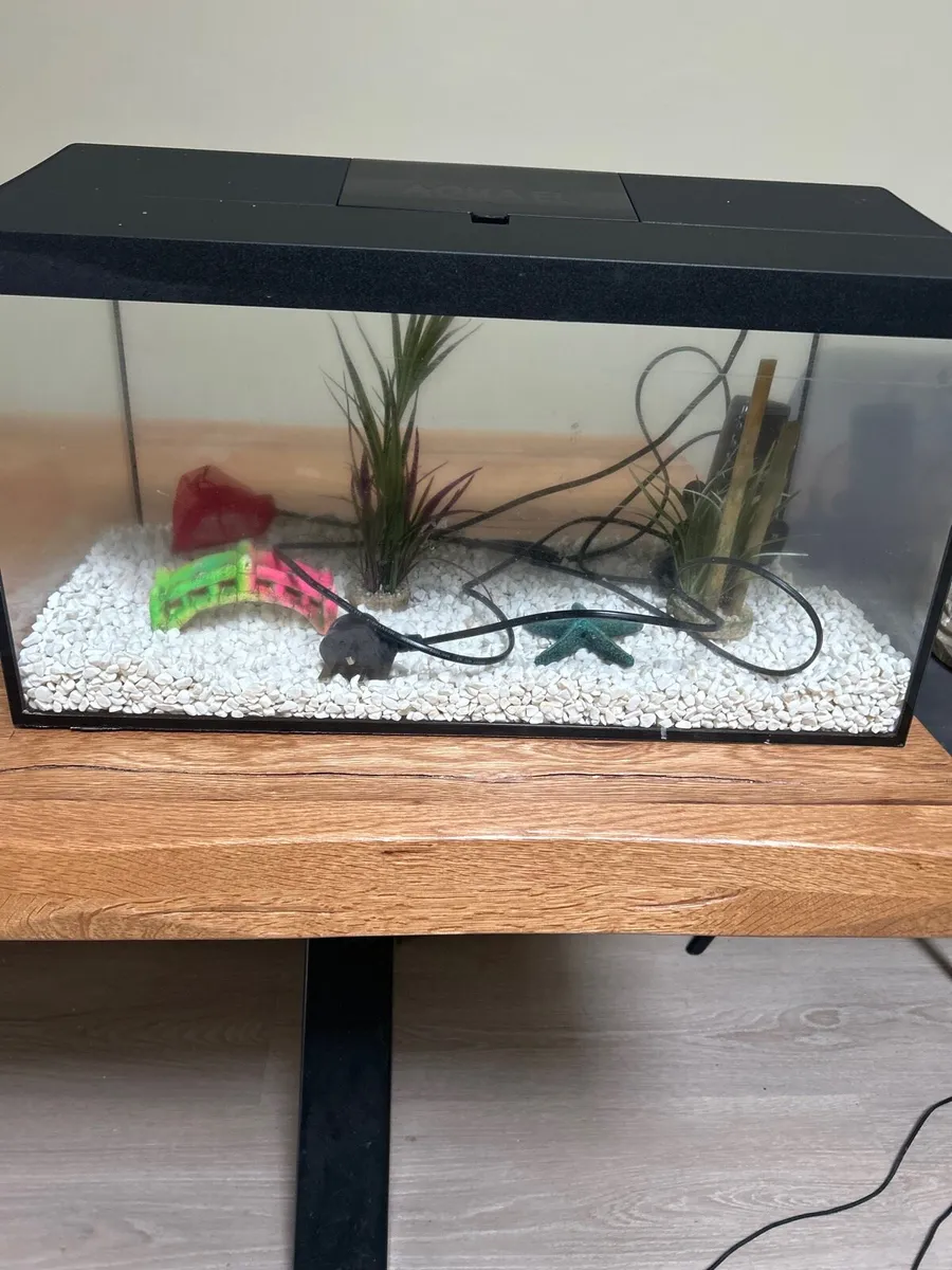 Aquael Fish Tank - Image 1