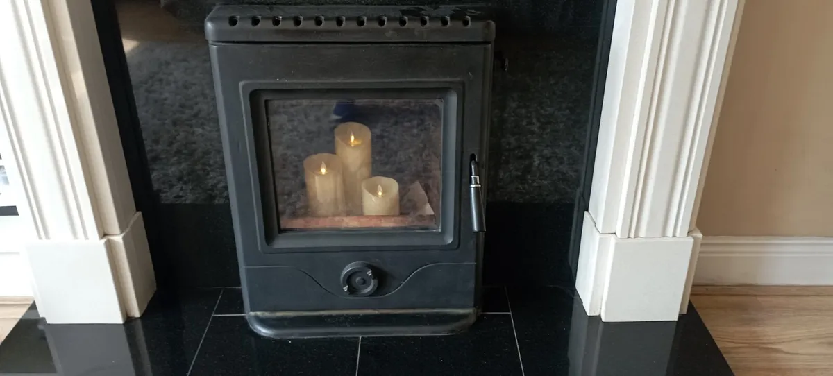 Horse flame solid fuel insert stove - Image 1