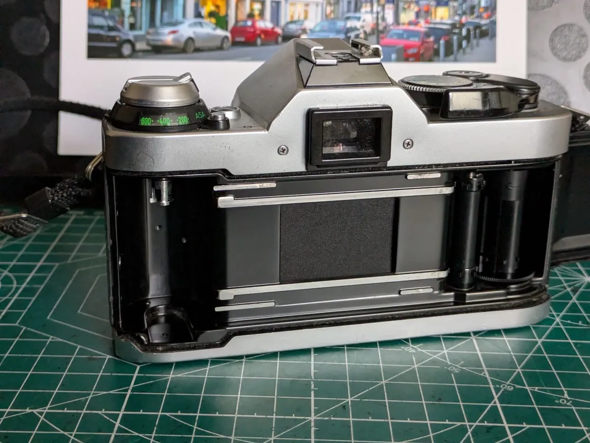 🎞️ Canon AE-1 Program - Image 4