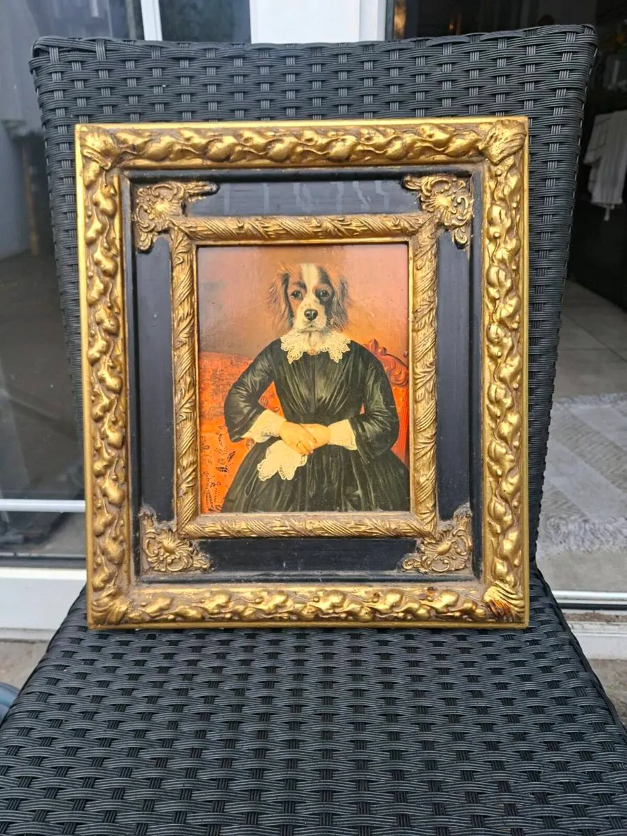 Unusual Dog Portrait in a nice ornate Gold frame - Image 3