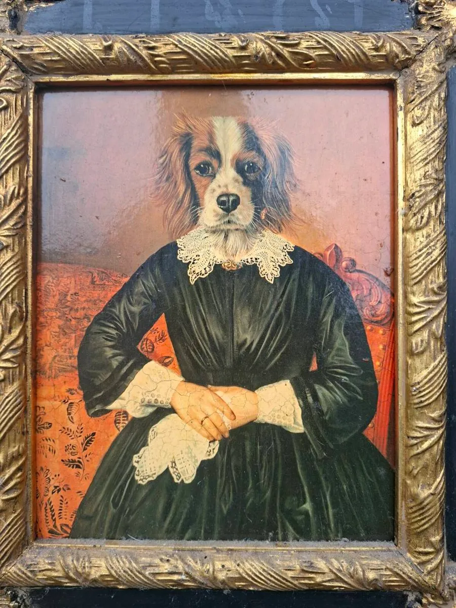 Unusual Dog Portrait in a nice ornate Gold frame - Image 4