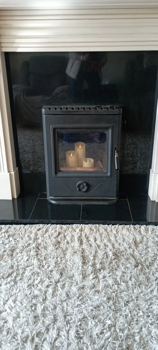 Horse flame solid fuel insert stove - Image 2