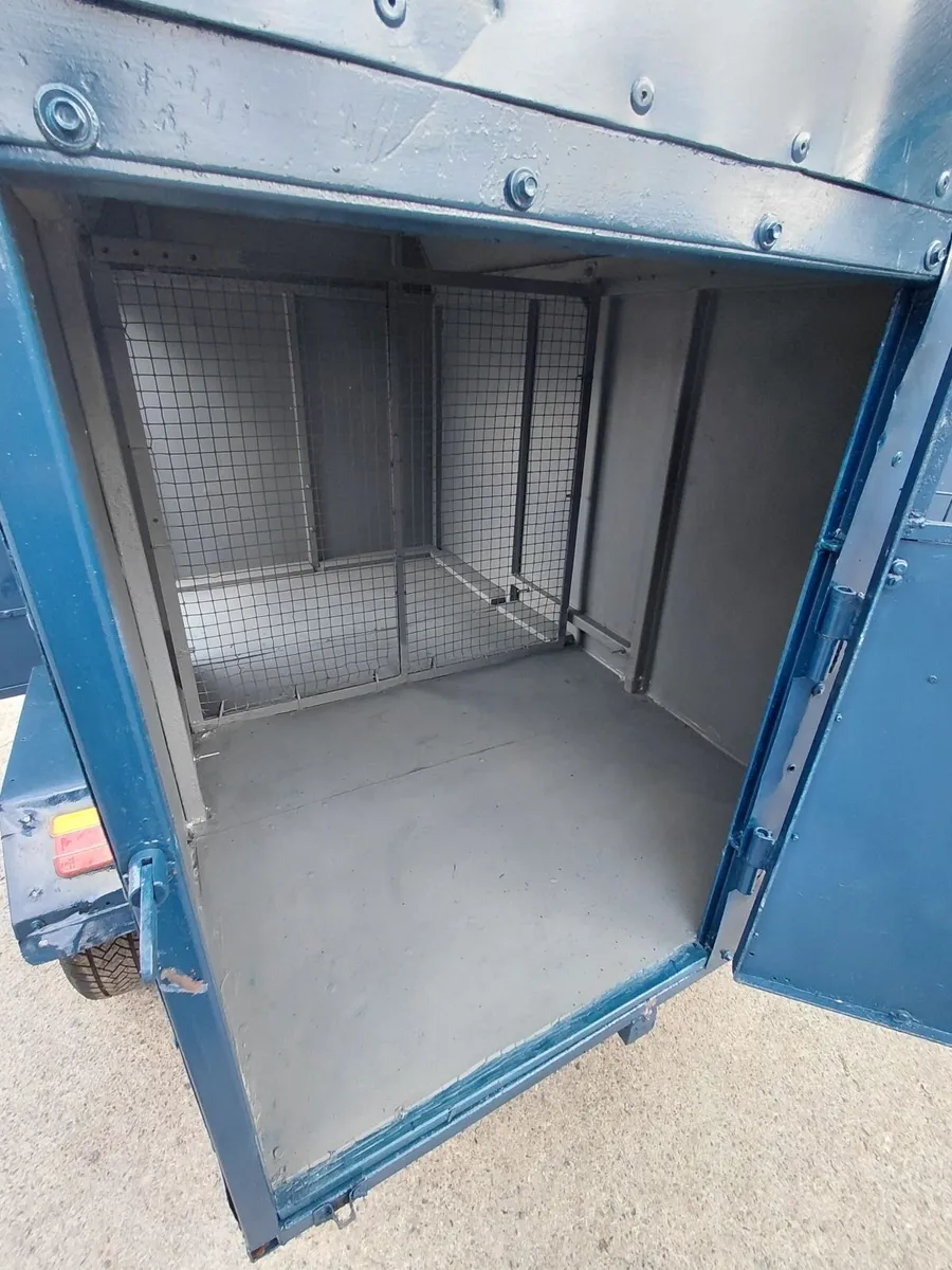 Dog box - Image 4