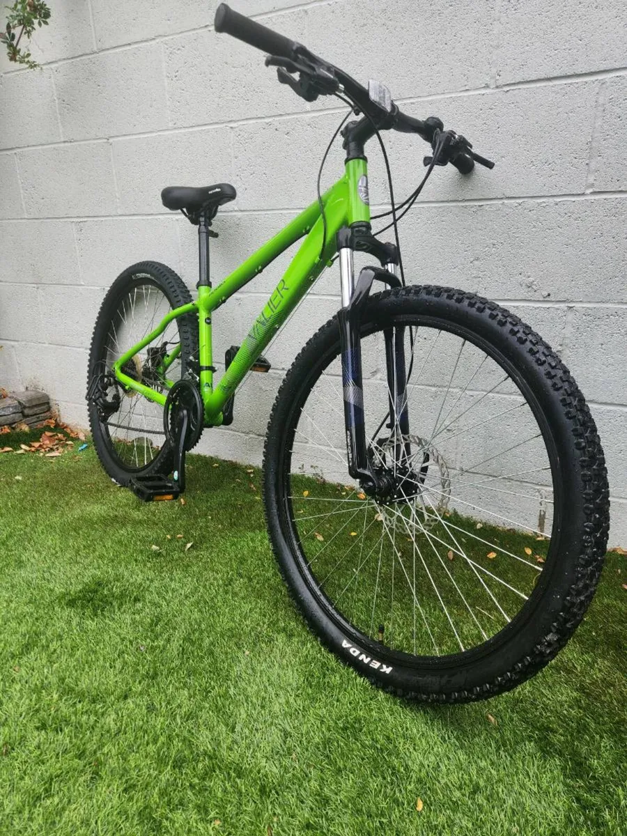 Bike - Image 1