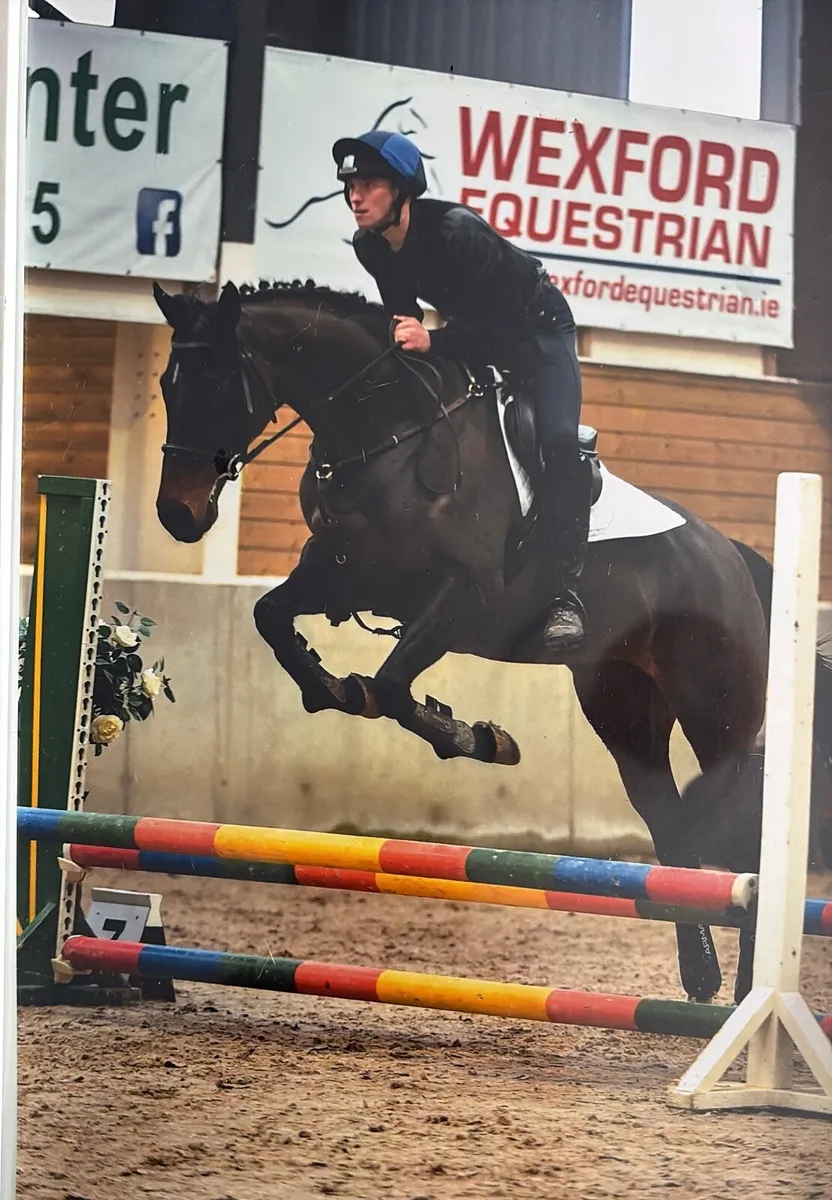 Horse Mare - Image 1
