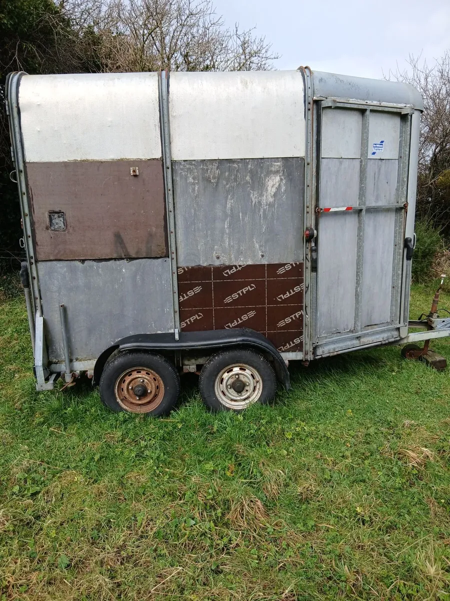 Horsebox - Image 4