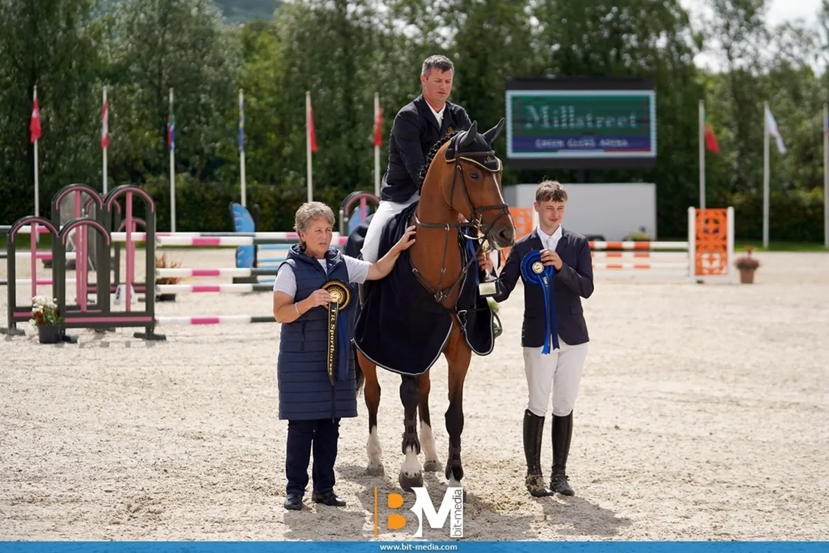 Large selection of showjumpers - Image 1