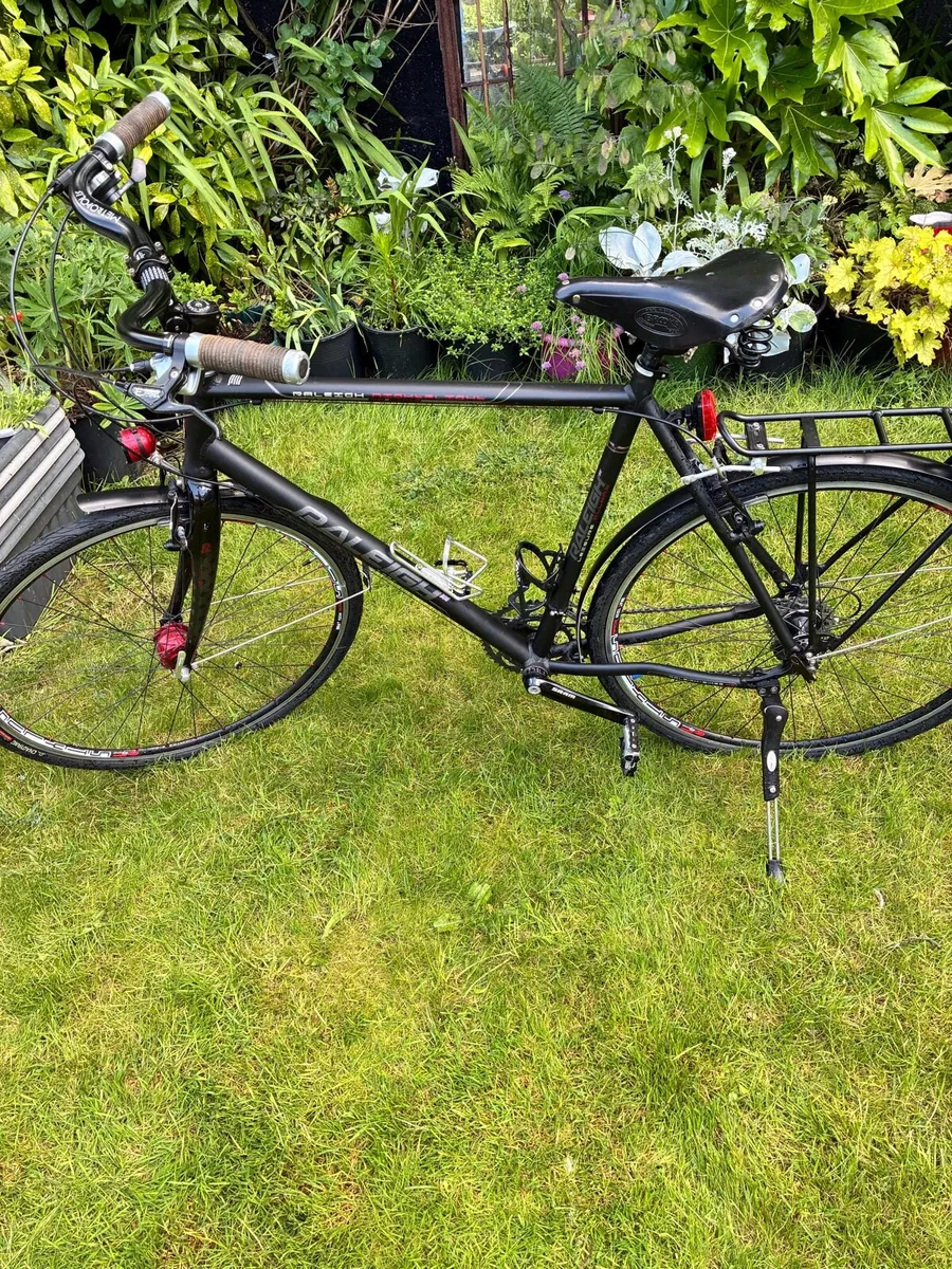 Raleigh Nightflight 18 speed bicycle - Image 1