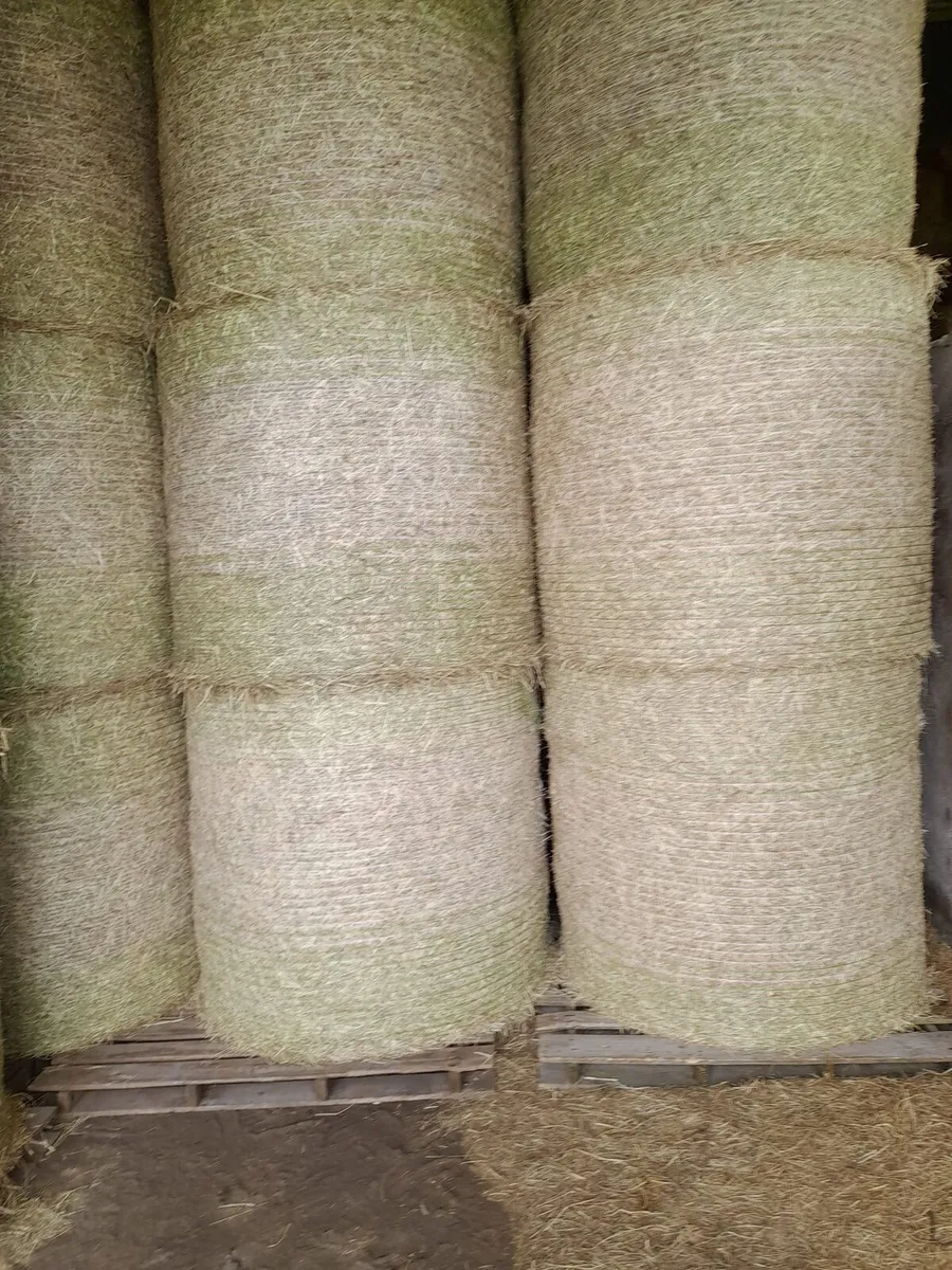 Hay - Image 1
