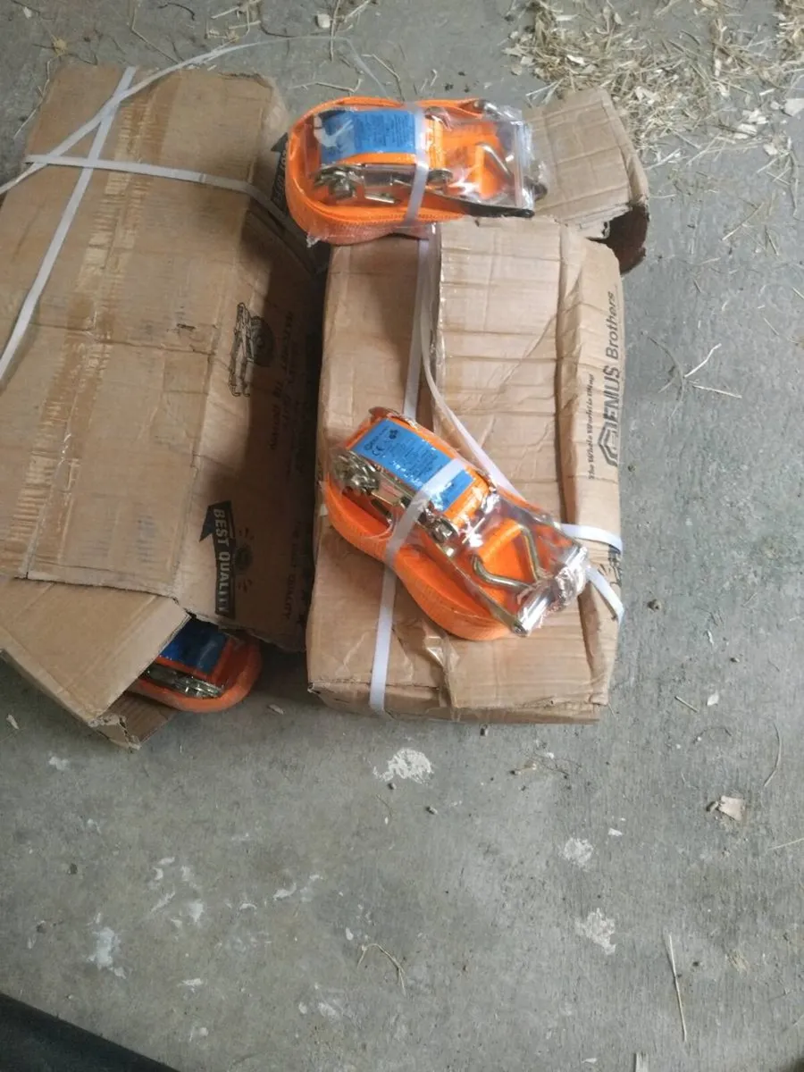 straps - Image 2
