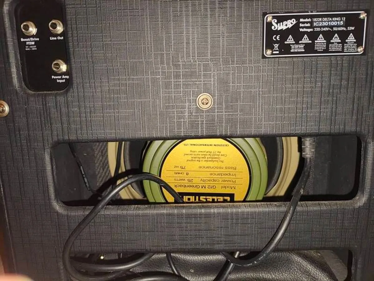 Supro Delta blues 12 - Image 3