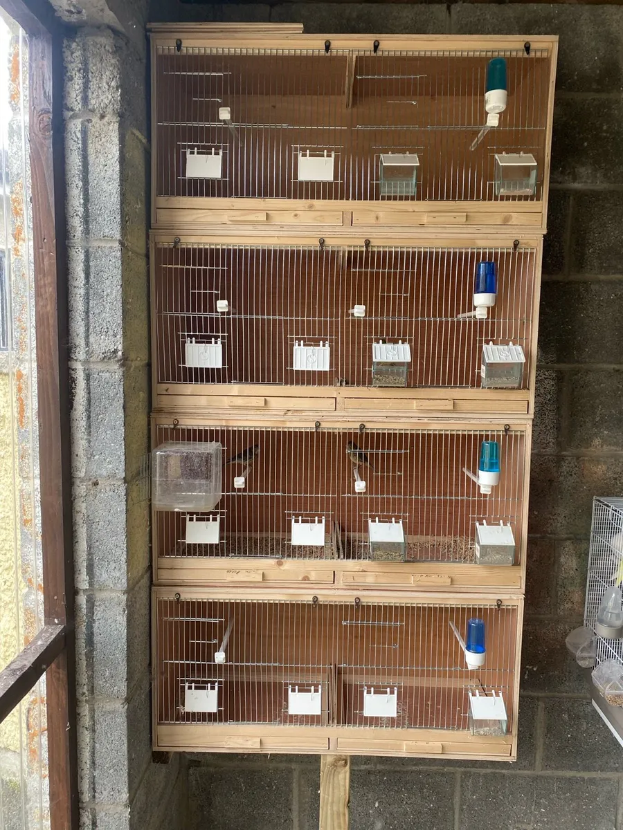 Double breeding cages nearly new