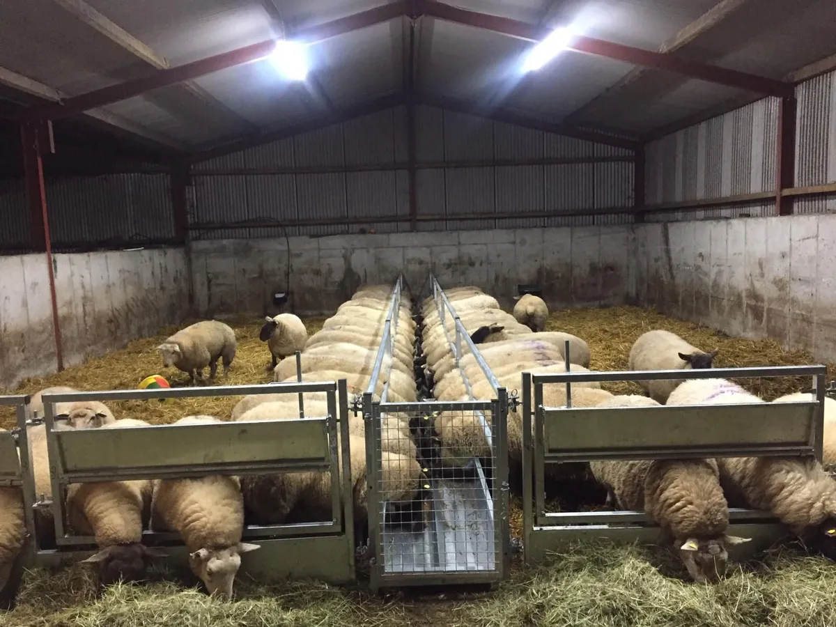 Feeding barrier, Bale feeders - Image 2