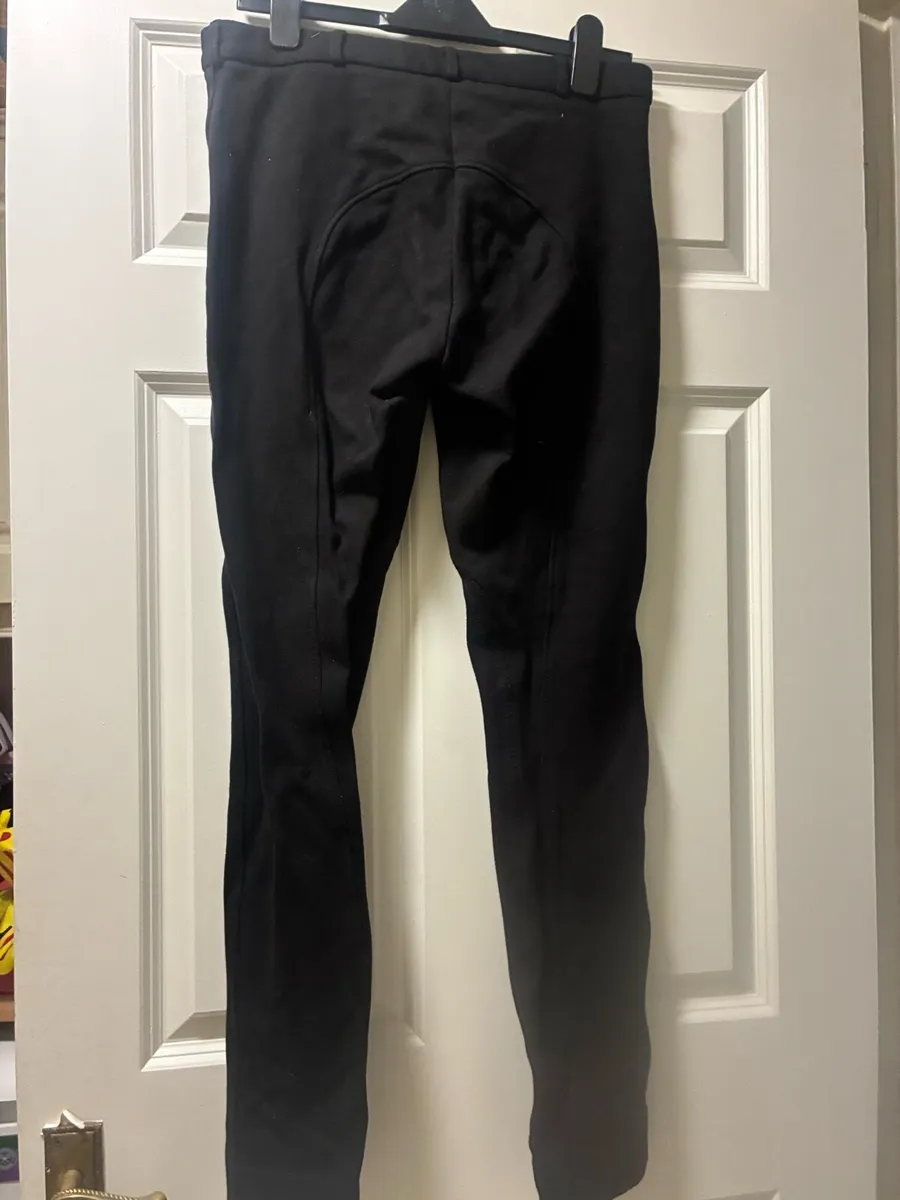 Ladies jodhpurs - Image 4