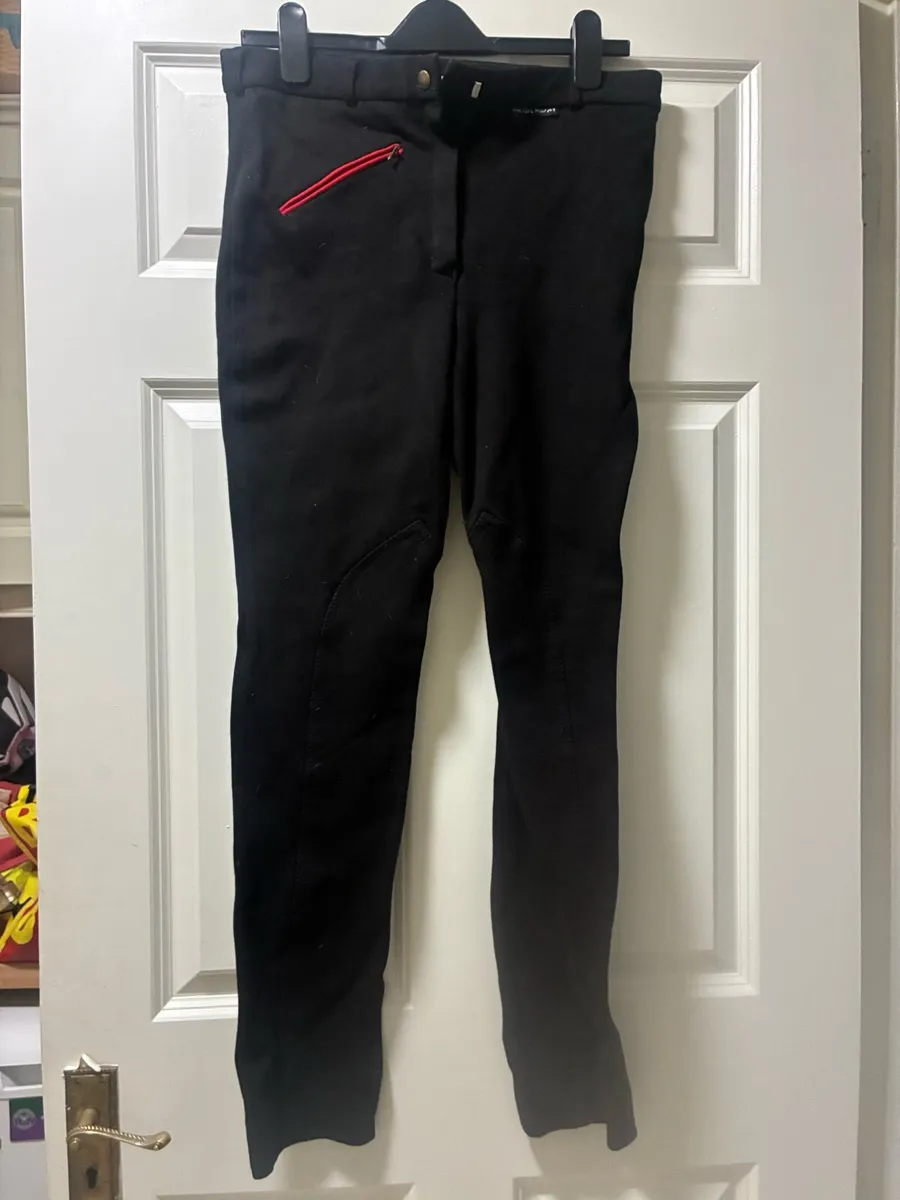 Ladies jodhpurs - Image 1