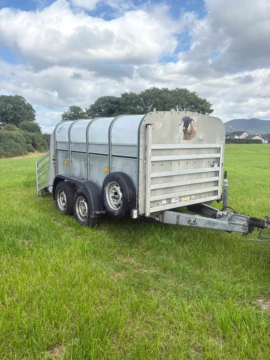 Ifor Williams Ta5 - Image 1