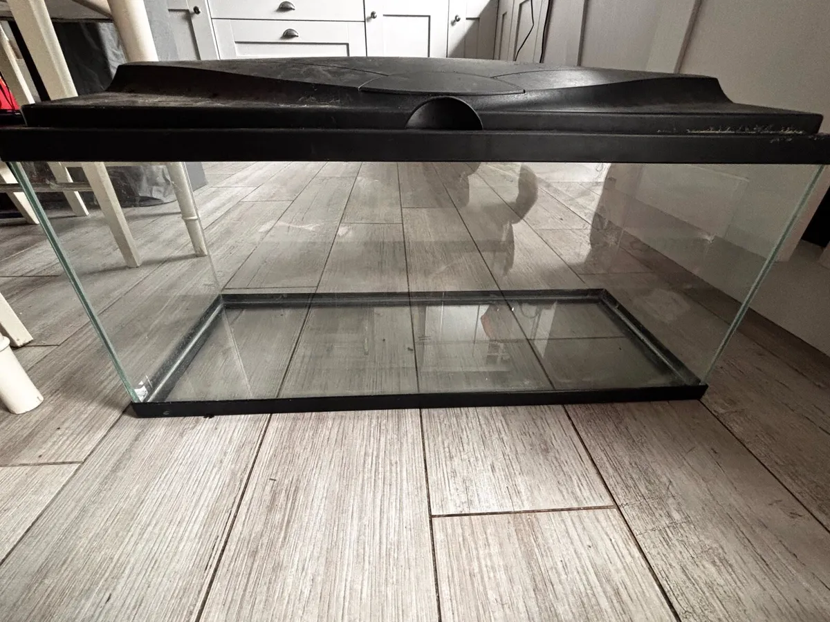 Fish tanks - Image 2