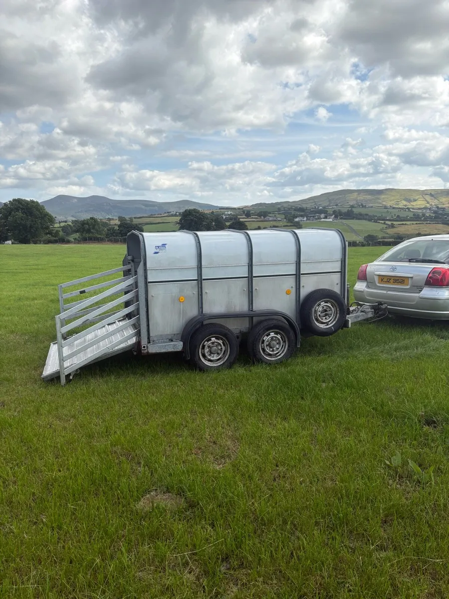Ifor Williams Ta5 - Image 3