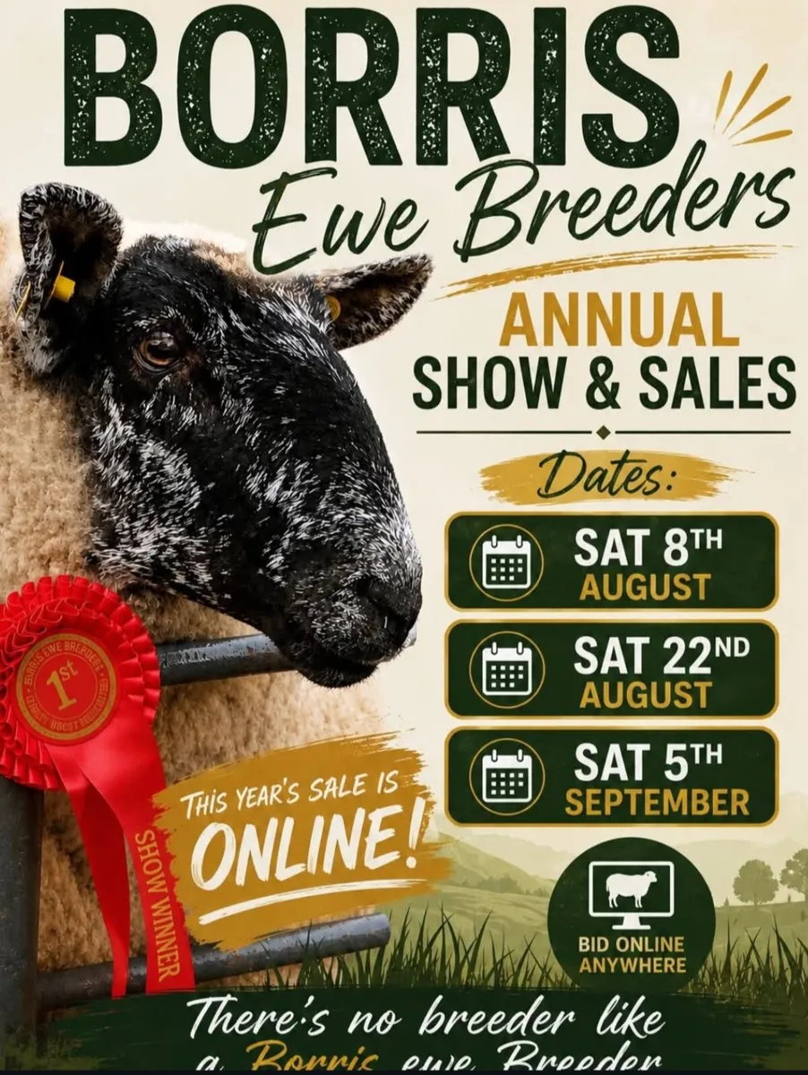 Borris Ewe Breeders Show & Sale - Image 1