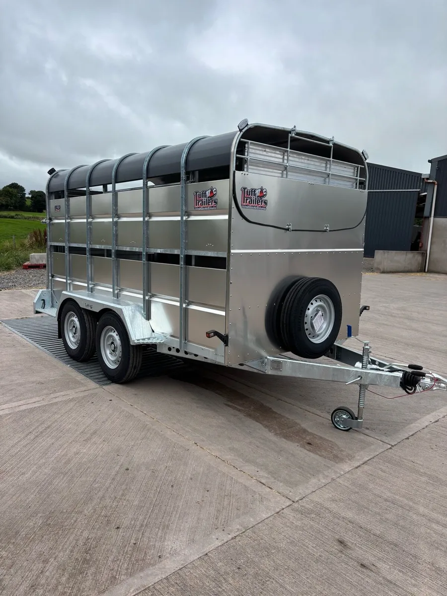 New Tuffmac Livestock Trailer with Sheep Decks - Image 2