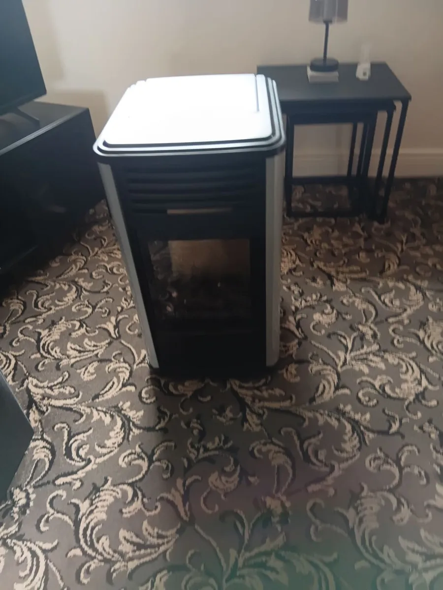 Gas fire - Image 1