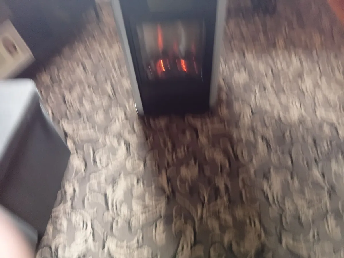 Gas fire - Image 3