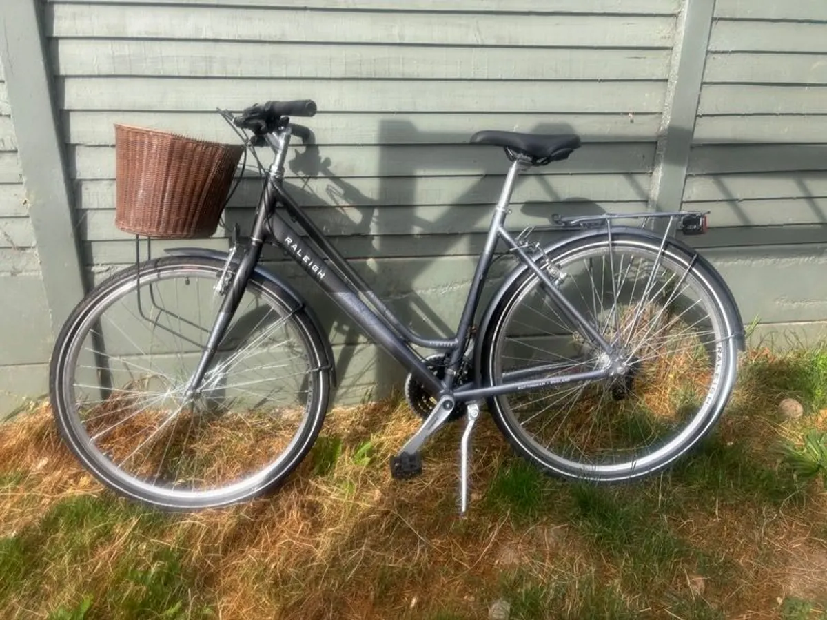 Raleigh Pioneer - Image 1