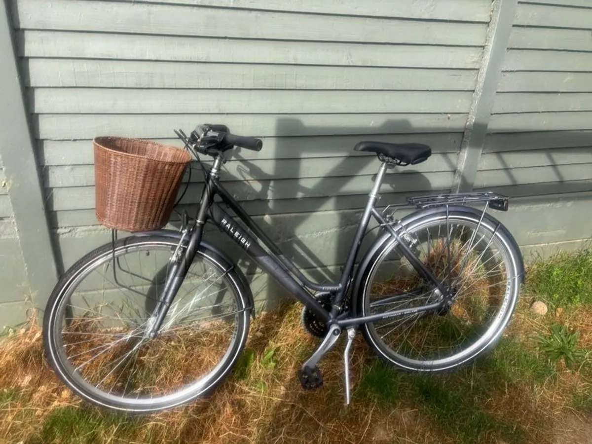 Raleigh Pioneer - Image 2