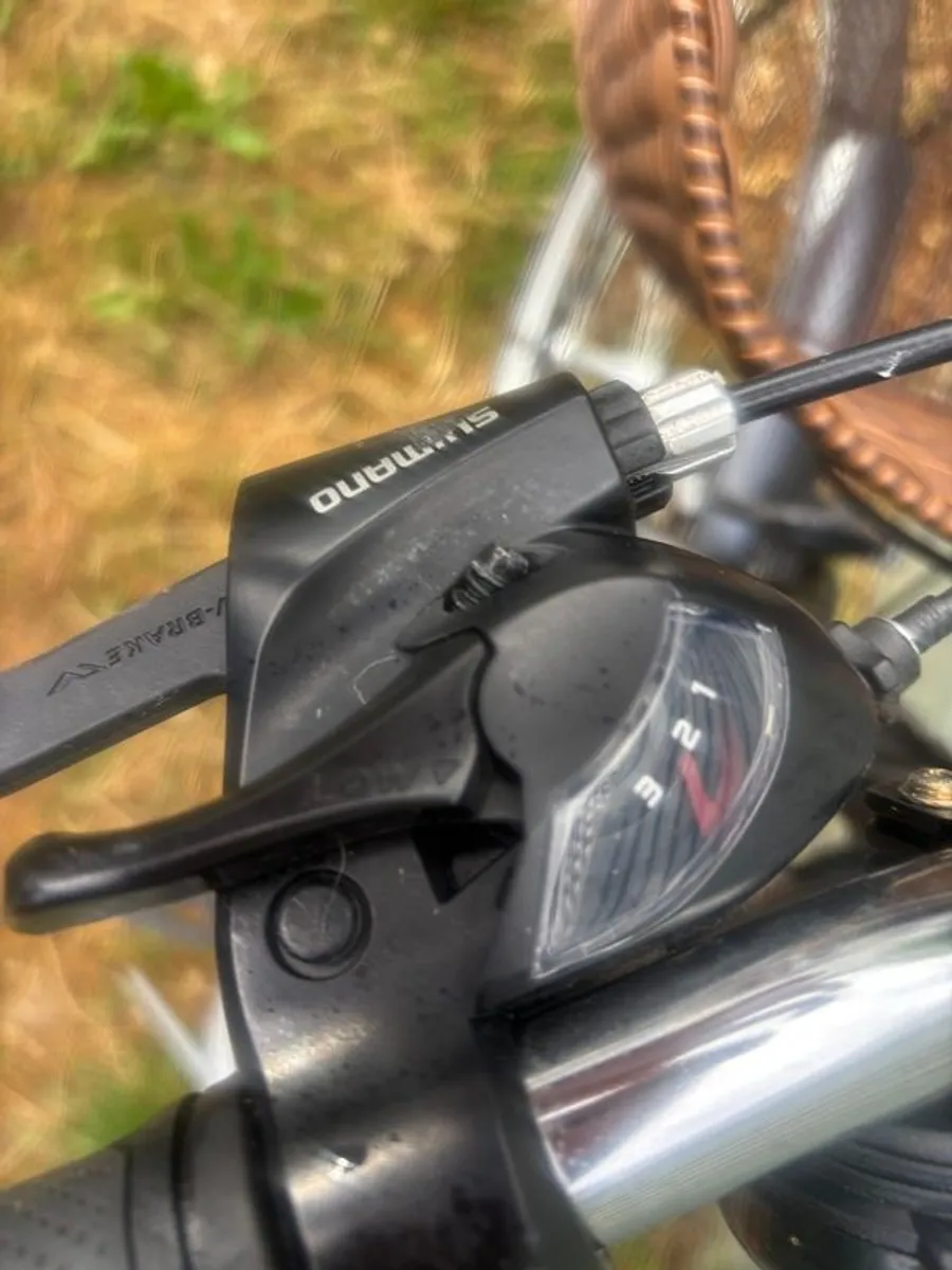 Raleigh Pioneer - Image 3