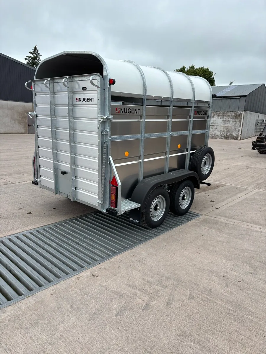 Nugent 8x5 Livestock Trailer - Image 4
