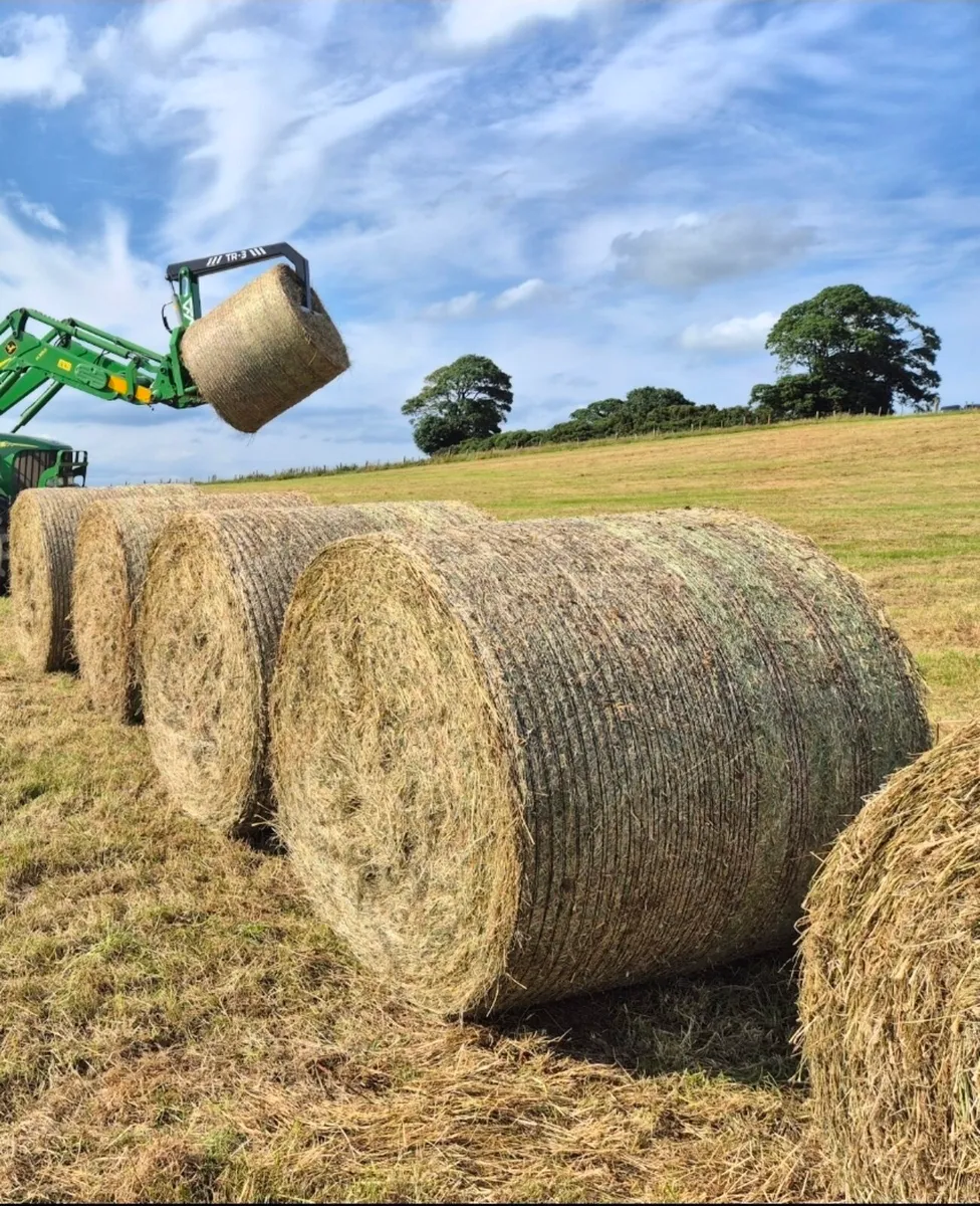 Quality Round Hay Bales - (Organic) - Image 1
