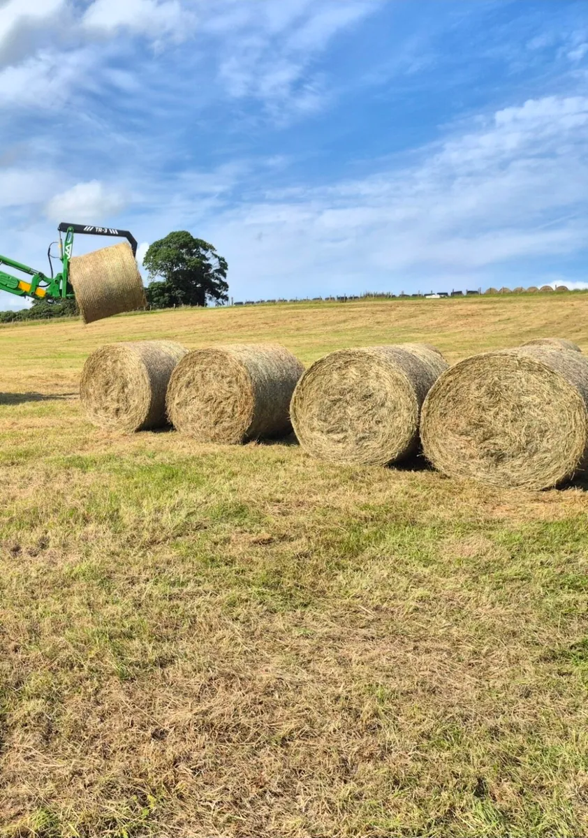 Quality Round Hay Bales - (Organic) - Image 2
