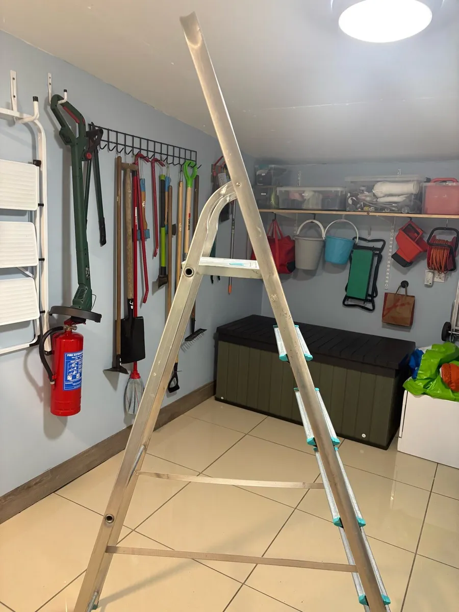 Ladder - Image 4