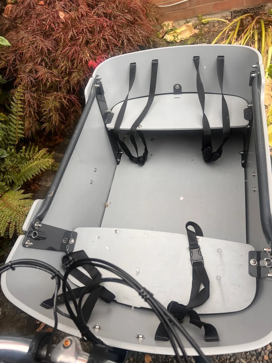 Cargo bike - Image 2