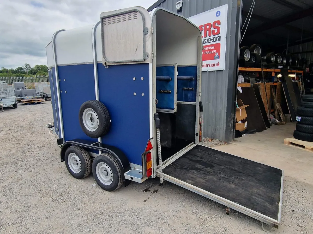 Ifor Williams 505 horse box trailer - Image 4
