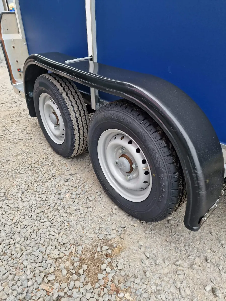 Ifor Williams 505 horse box trailer - Image 2