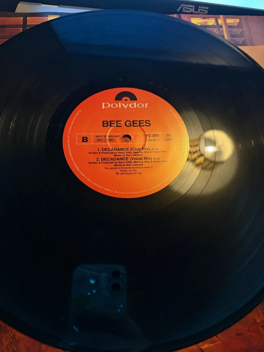 The BeeGees - Image 4