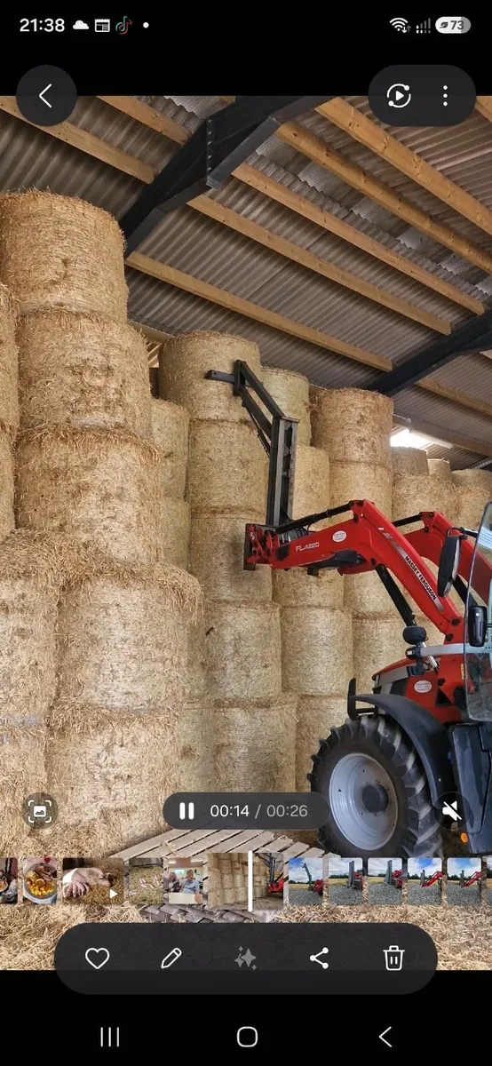 Bale giraffe handler - Image 1